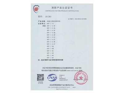 軸（zhóu）流式消防排煙風機（jī）HTF-I-11